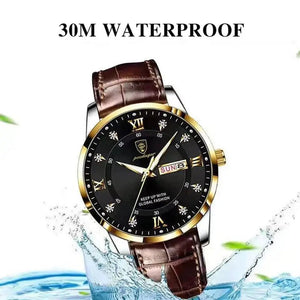 Top Brand Luxury Quartz Wristwatch - Blurrywatch.com